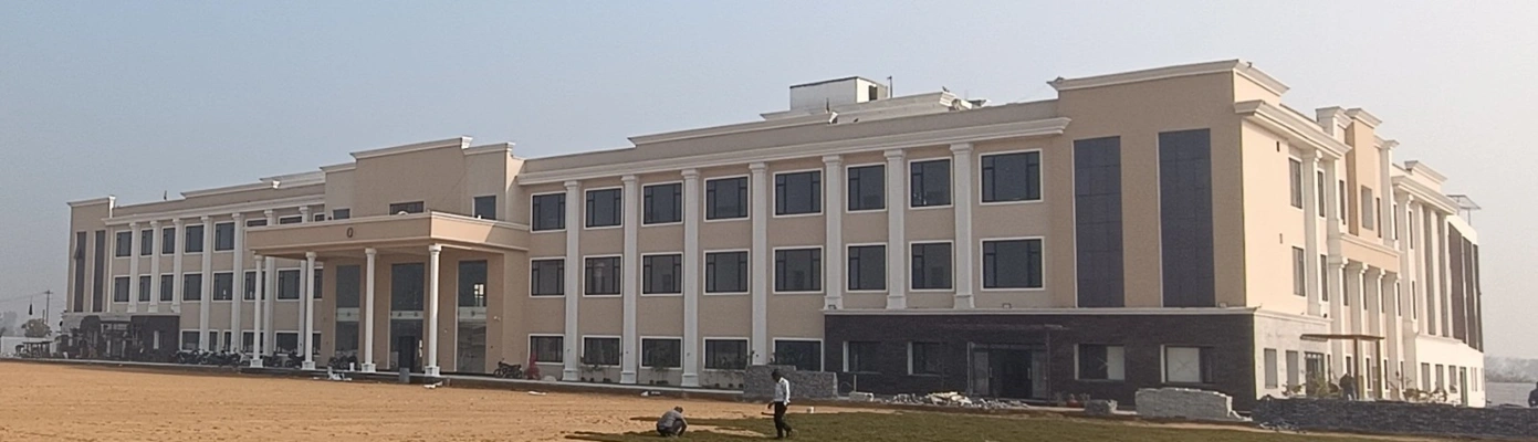 Rohtak School