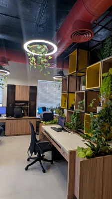 Oikos Architect in Gurugram 122002